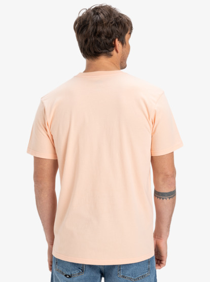 CAMISETA MASCULINO QUIKSILVER EV GRADIENT BOX – foto 4